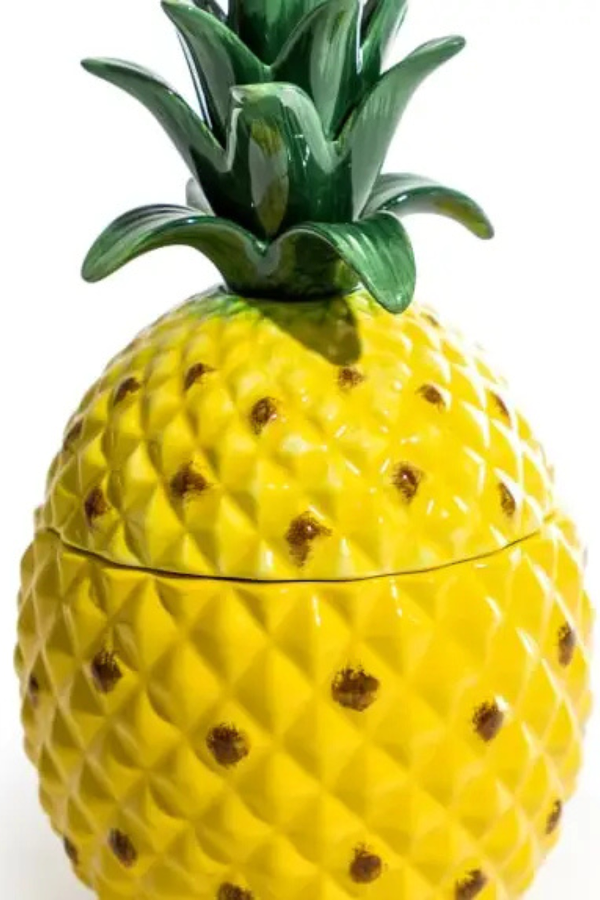 Large Pineapple Storage Jar