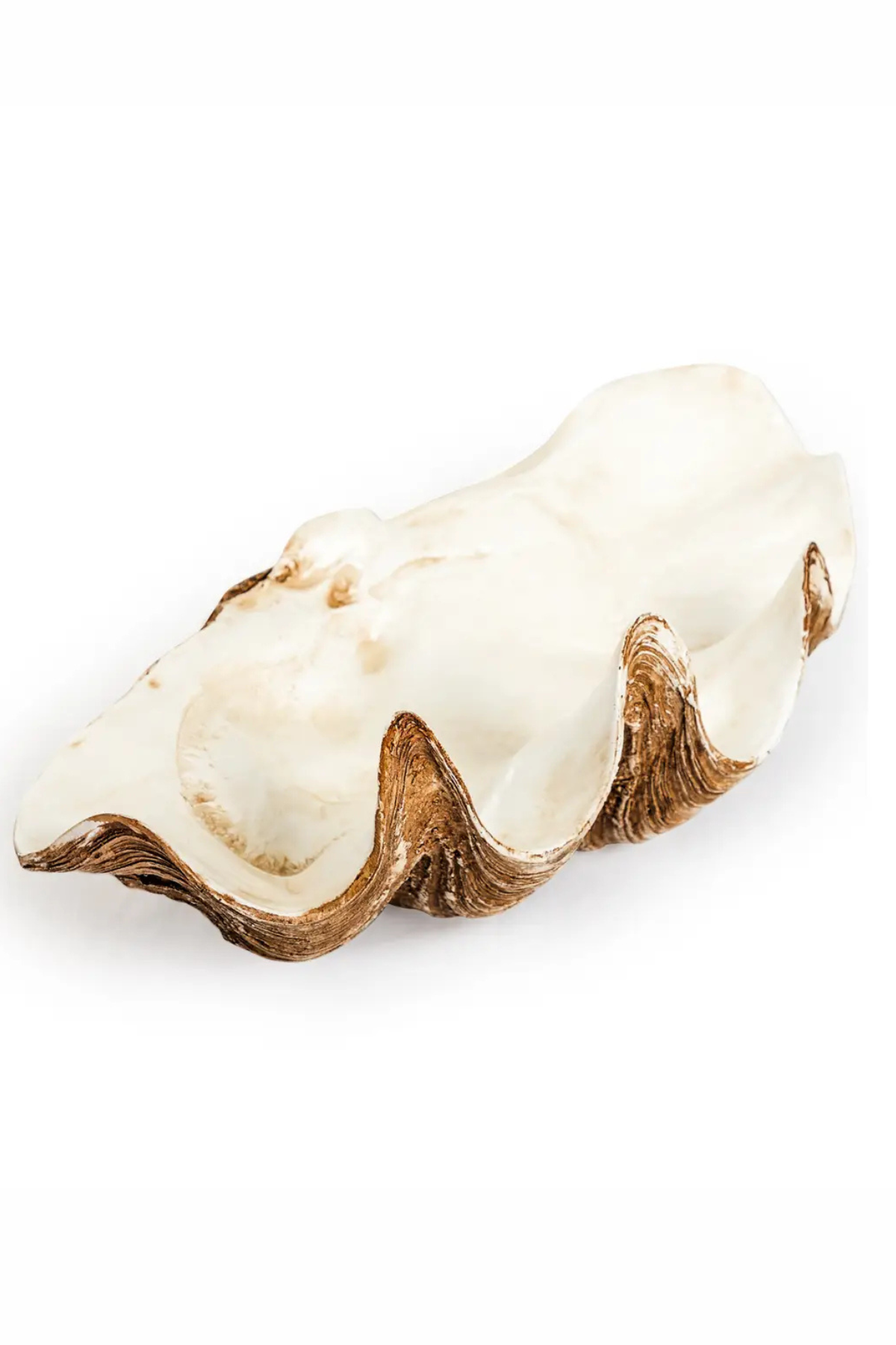 Large Clam Shell Decorative Bowl